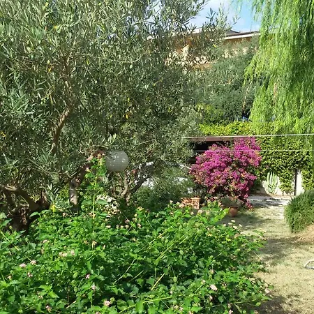 Tre Cammelli In Collina Montesilvano Marina