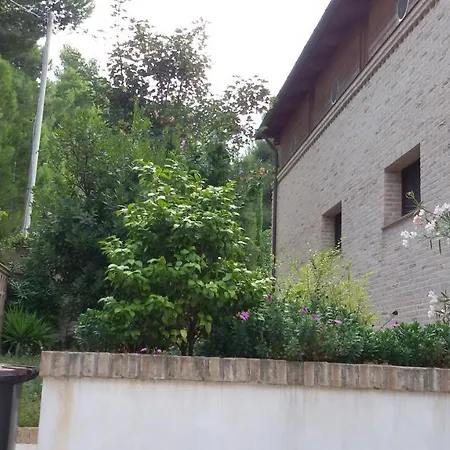 Tre Cammelli In Collina *